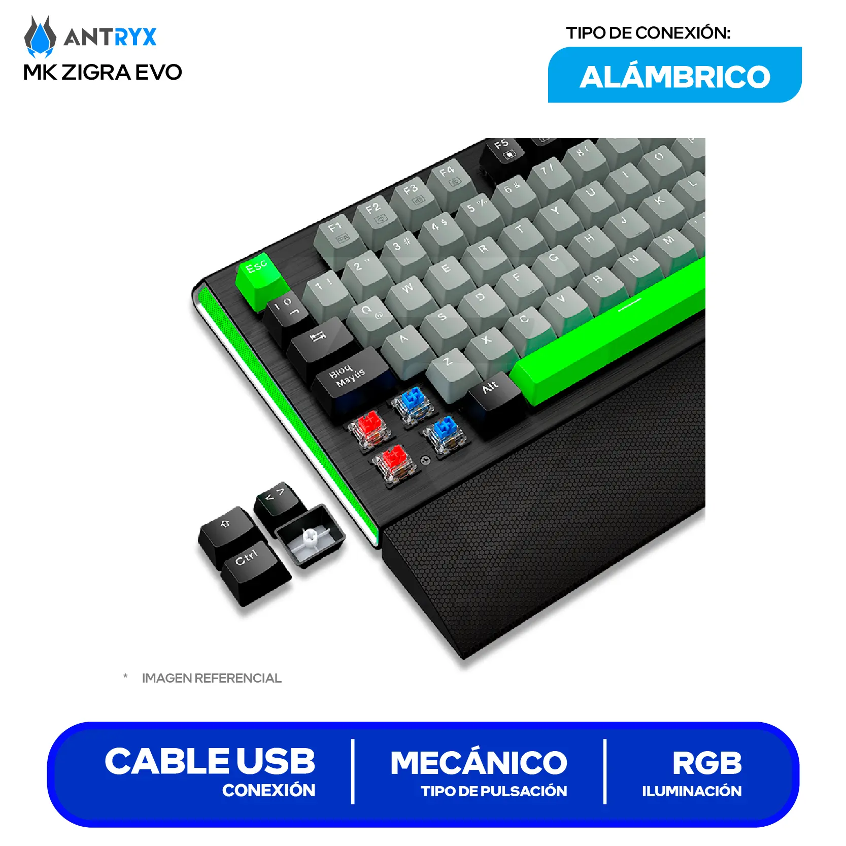 Teclado Gamer Antryx MK Zigra EVO ( AMK-900KR1BL-SP ) Switch  Blue, Mecánico RGB