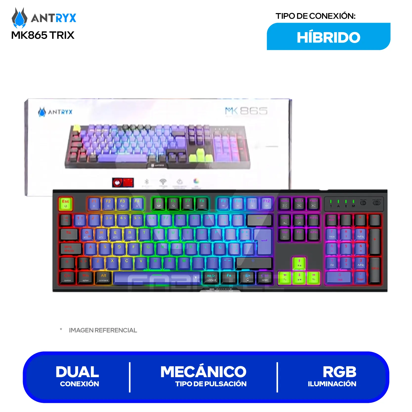 Teclado Gamer Inalámbrico Antryx MK-865 Trix Lila C/ Negro ( AMK-865TXKBL-SP ) Switch Blue, Mecánico RGB