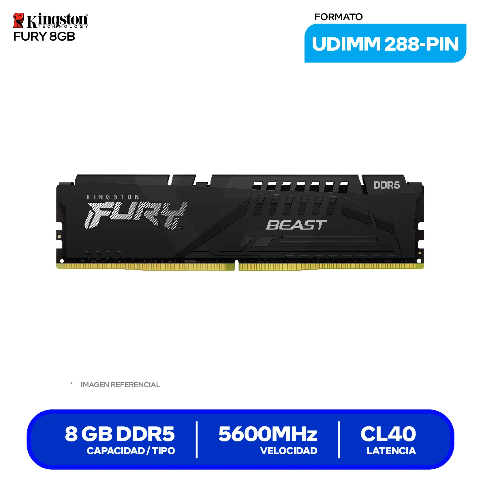 Memoria UDIMM Kingston Fury Beast (KF556C40BB-8) 8GB, DDR5, 5600 MHz